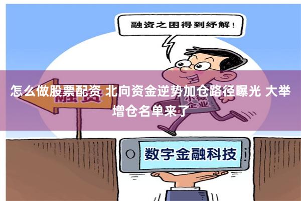 怎么做股票配资 北向资金逆势加仓路径曝光 大举增仓名单来了