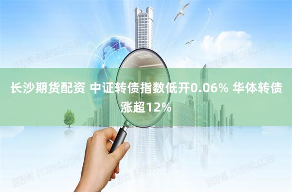 长沙期货配资 中证转债指数低开0.06% 华体转债涨超12%