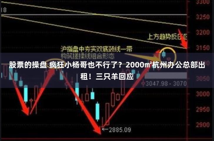 股票的操盘 疯狂小杨哥也不行了？2000㎡杭州办公总部出租！三只羊回应