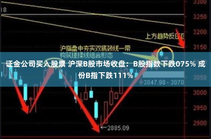 证金公司买入股票 沪深B股市场收盘：B股指数下跌075% 成份B指下跌111%