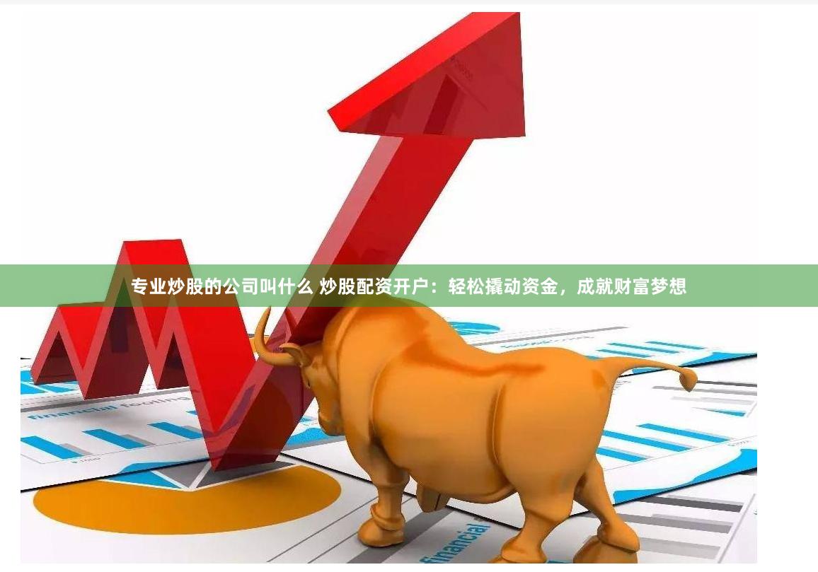 专业炒股的公司叫什么 炒股配资开户：轻松撬动资金，成就财富梦想