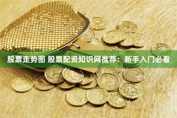 股票走势图 股票配资知识网推荐：新手入门必看